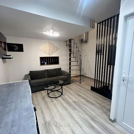 Maison Appartement Triplex Avec Jacuzzi Et Sauna Saint-Etienne  Zewnętrze zdjęcie